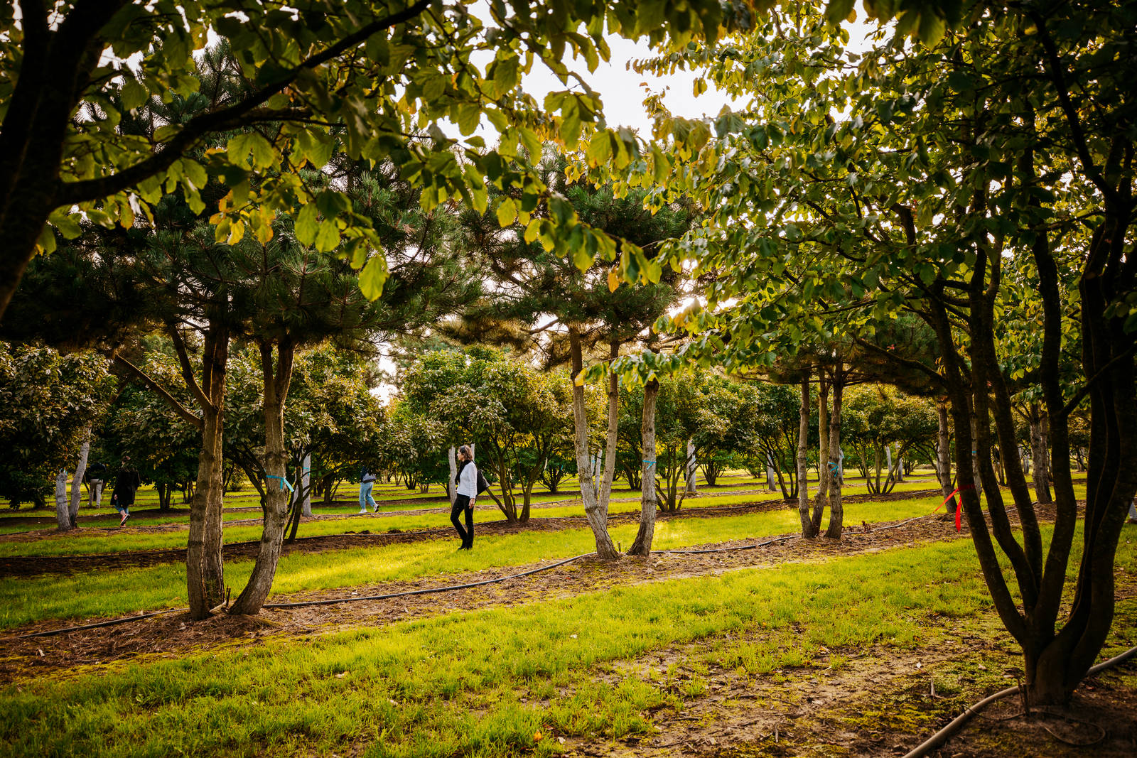 Een duurzaam evenement organiseren: ontvang onze duurzaamheidschecklist