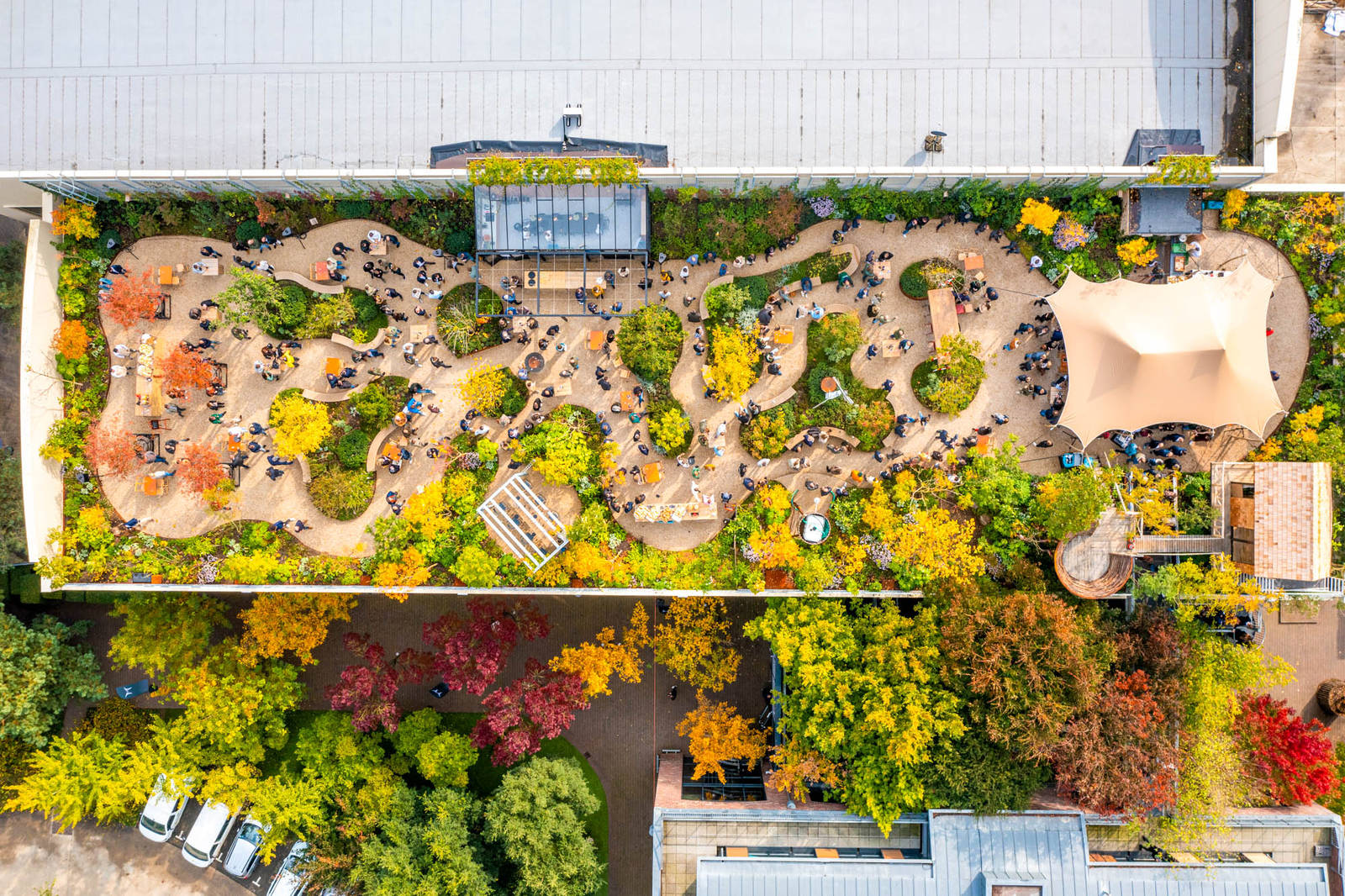 Onze Daktuin; kom (voorlopig maar niet) het dak af!