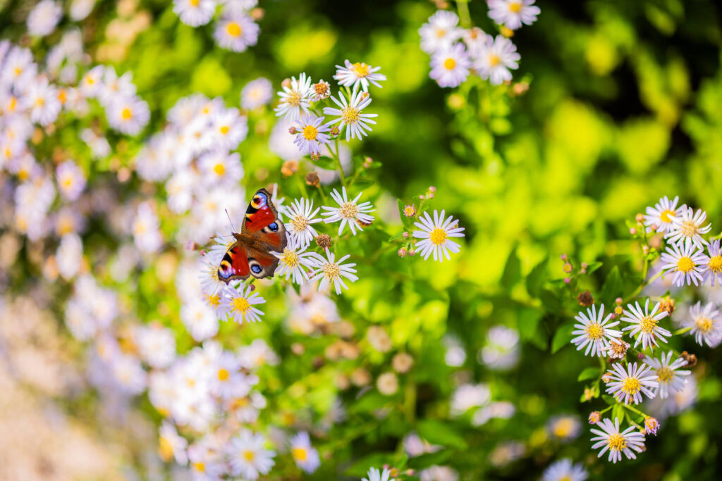 Wat is een circulair evenement en waarom zou je dat willen?