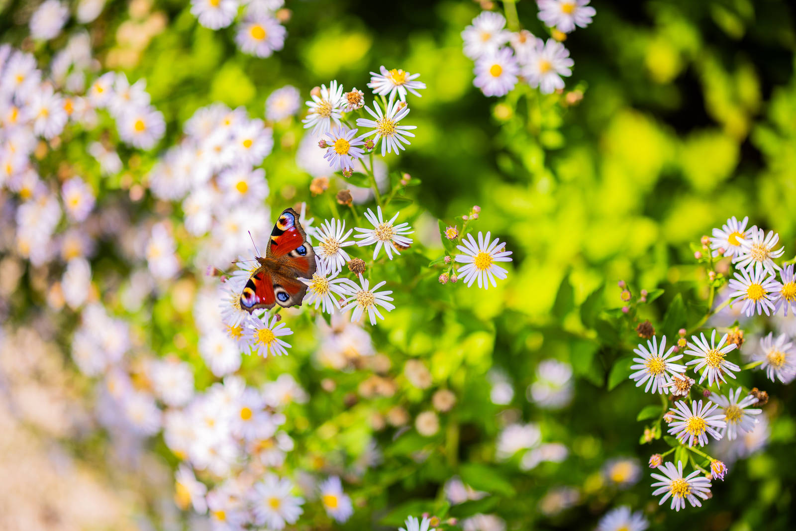 Wat is een circulair evenement en waarom zou je dat willen?